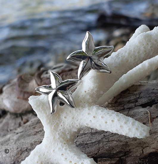 Boucles D'oreilles étoile De Mer HANLI - Argent 925 Plaqué Or, Style Marin, Hypoallergénique, Cadeau Plage